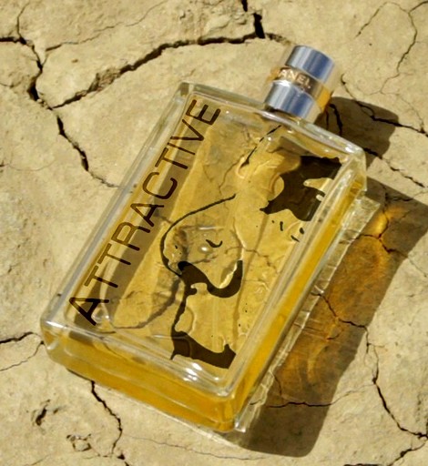 Perfume bottle labeled "ATTRACTIVE" on cracked earth